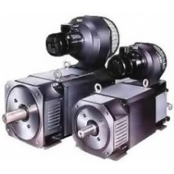Электродвигатели постоянного тока болгарского производителя gama motors